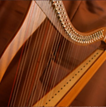 aria celtic harp
