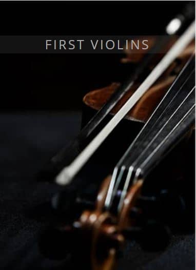 auddict USE 1st violins art