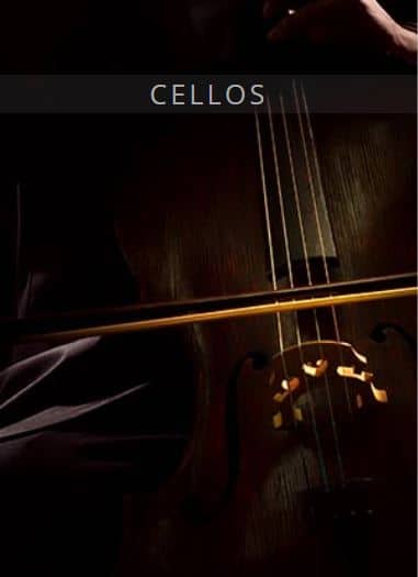 auddict USE cellos art