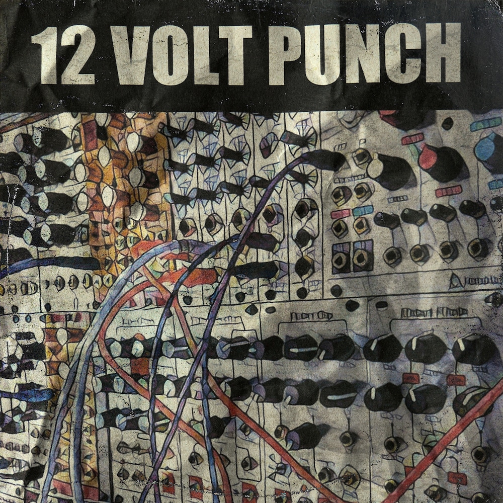 77% off “12 Volt Punch” by Goldbaby