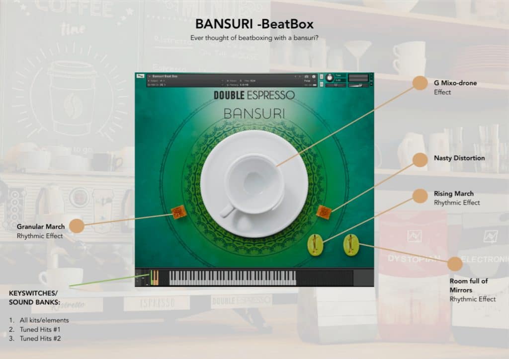 Have Audio Bansuri Bundle Beatbox