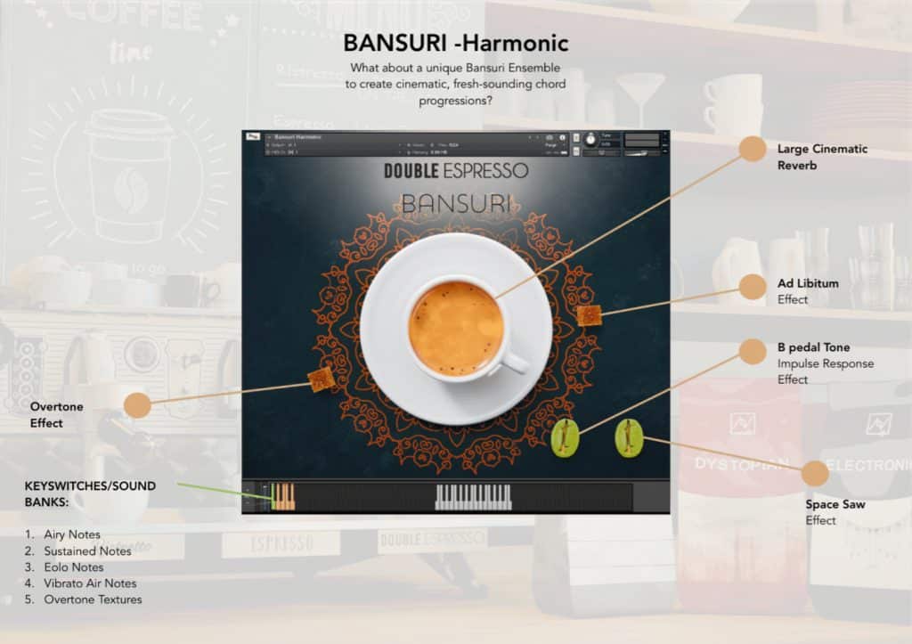 Have Audio Bansuri Bundle Harmonic