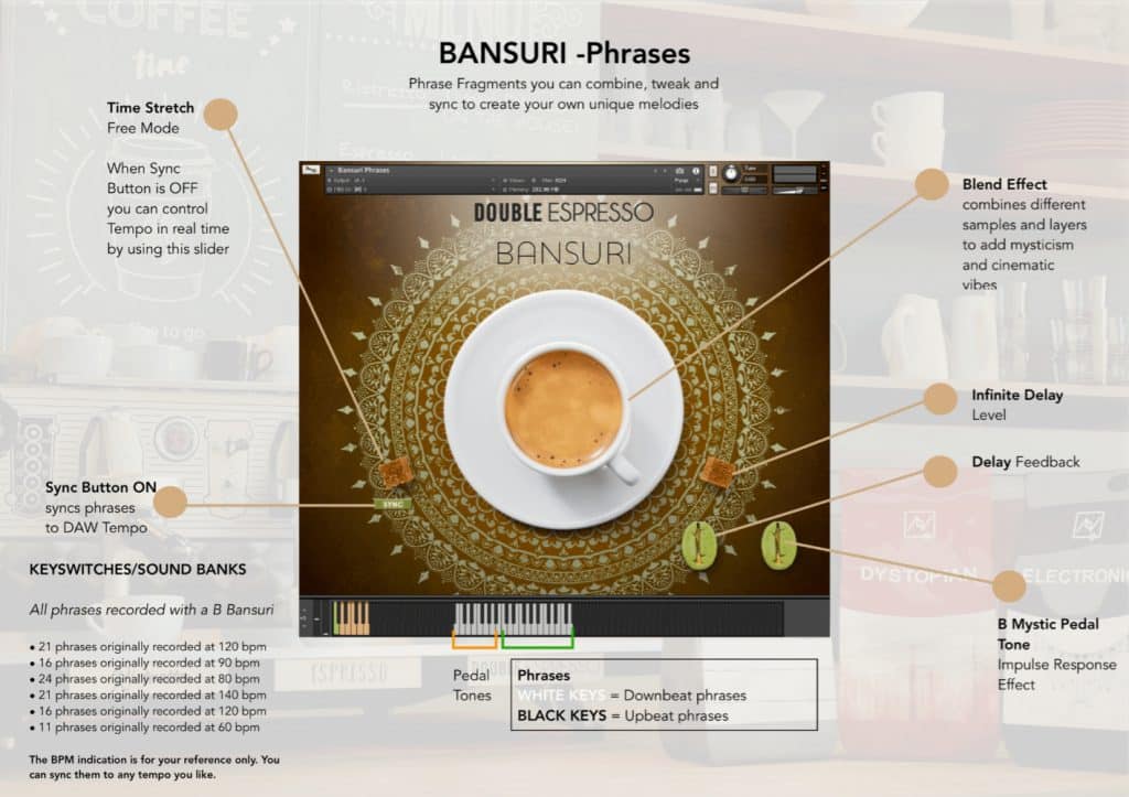 Have Audio Bansuri Bundle Phrases