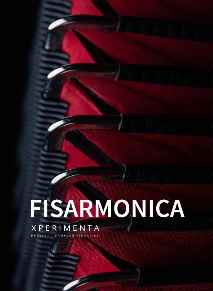 copertina la fisarmonica new