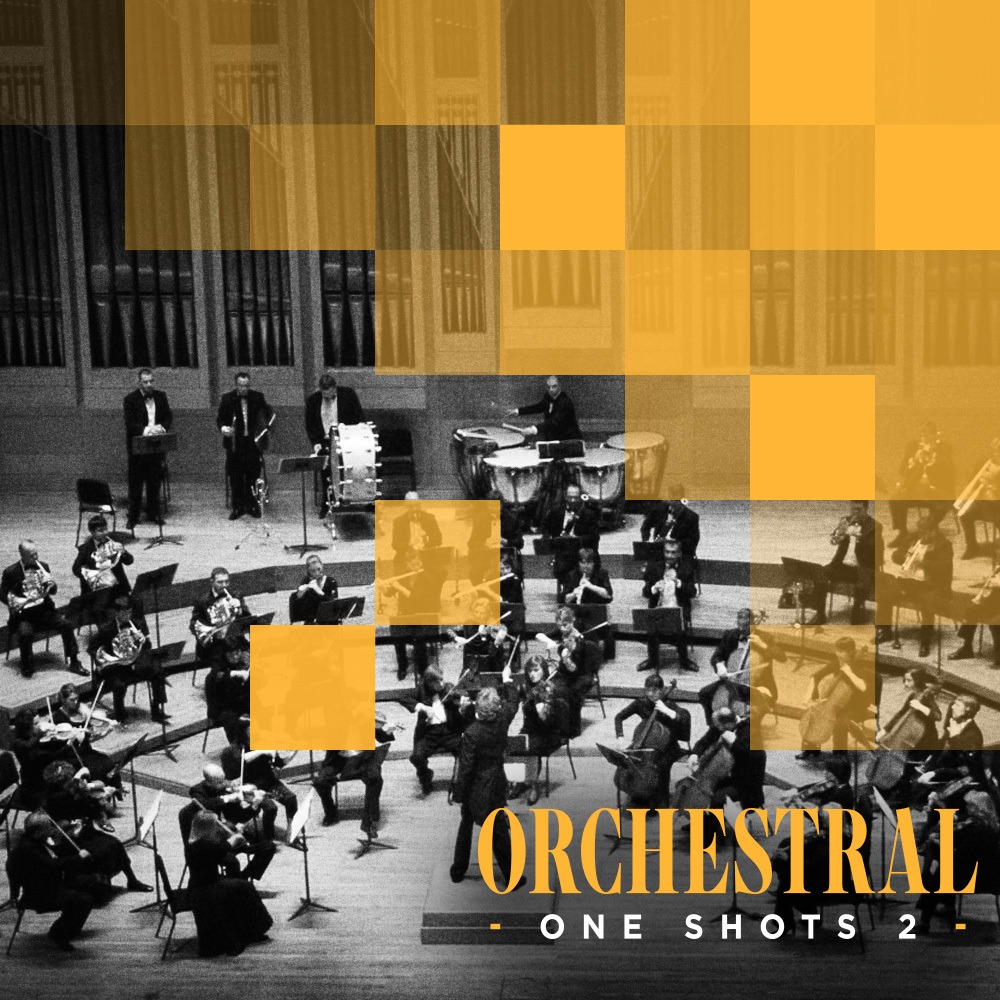 Diginoiz   Orchestral One Shots