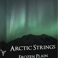 Arctic Strings: Mirage