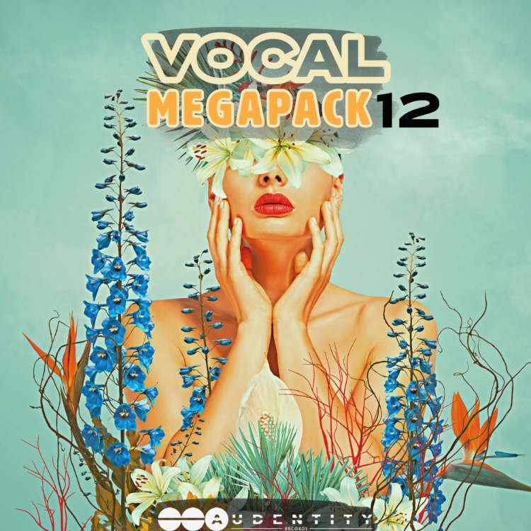 Vocal Megapack 12 artwork