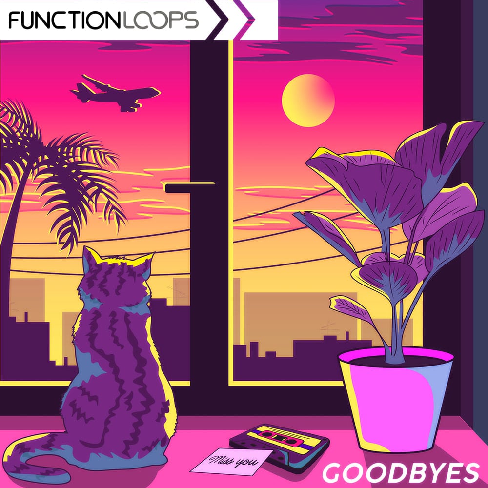 function loops goodbyes lofi hiphop orig