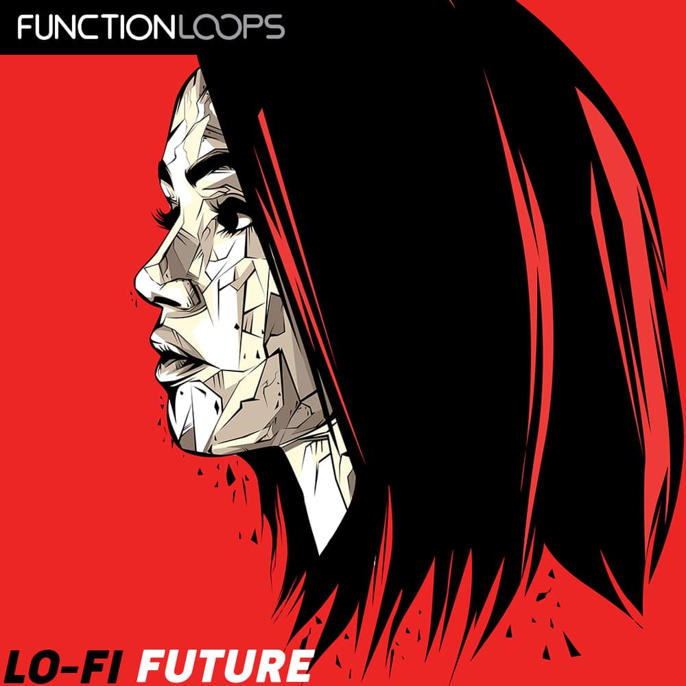 function loops lofi future orig